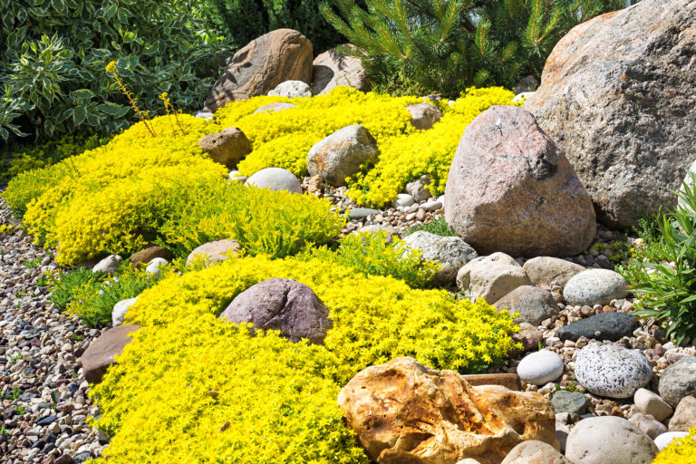 Rock Gardening