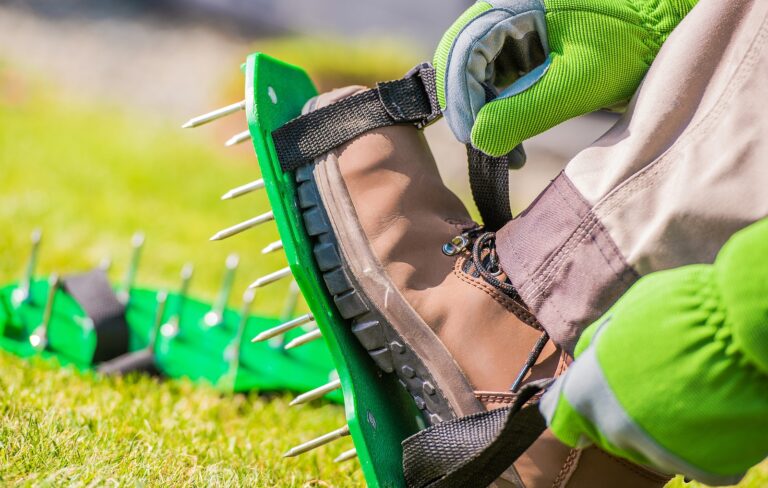 How to De-Thatch, Aerate, and Overseed a Lawn
