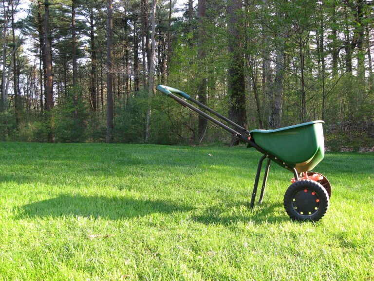 How to Fertilize a Lawn