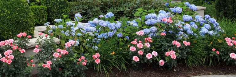 Garden Planting Design Basics