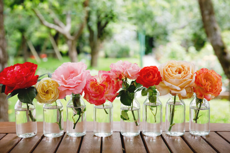 Cut Flower Basics