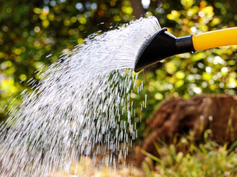 How to Water Garden Plants
