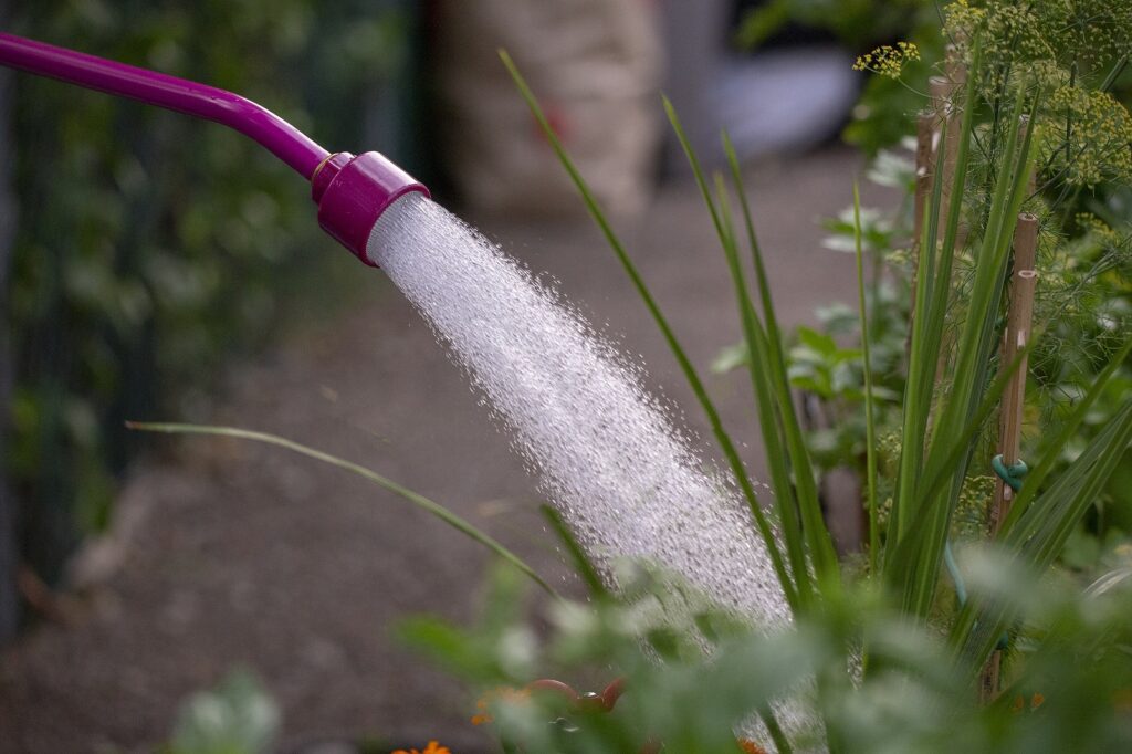 water wand watering plants