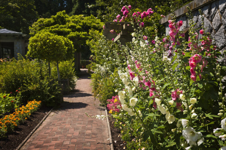 Flower Gardening Basics