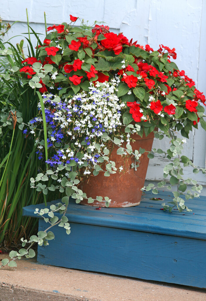 A terracotta garden planter filled with mounding impatiens and trailing lobelia.