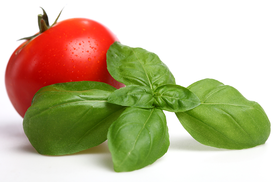 Basil and tomatoe