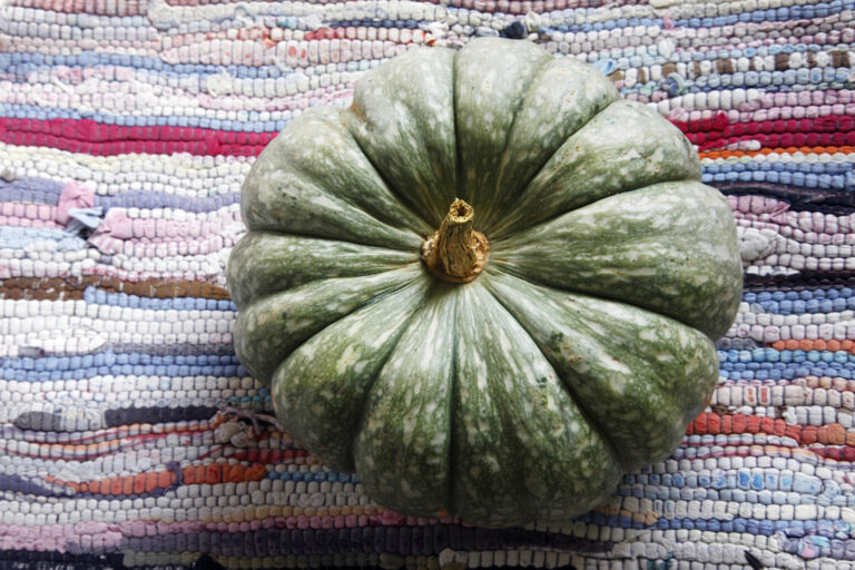 Green pumpkin