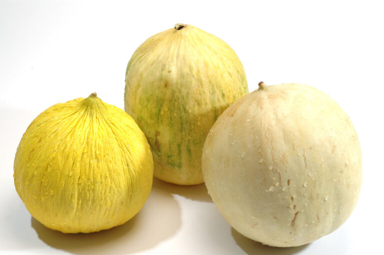 winter melons