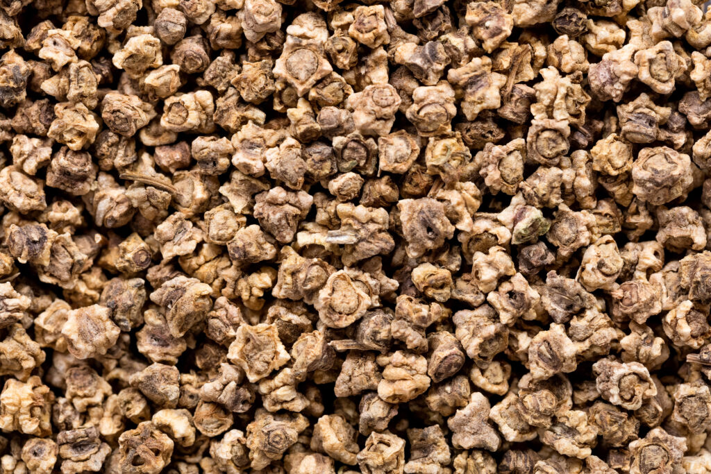 Beet seeds