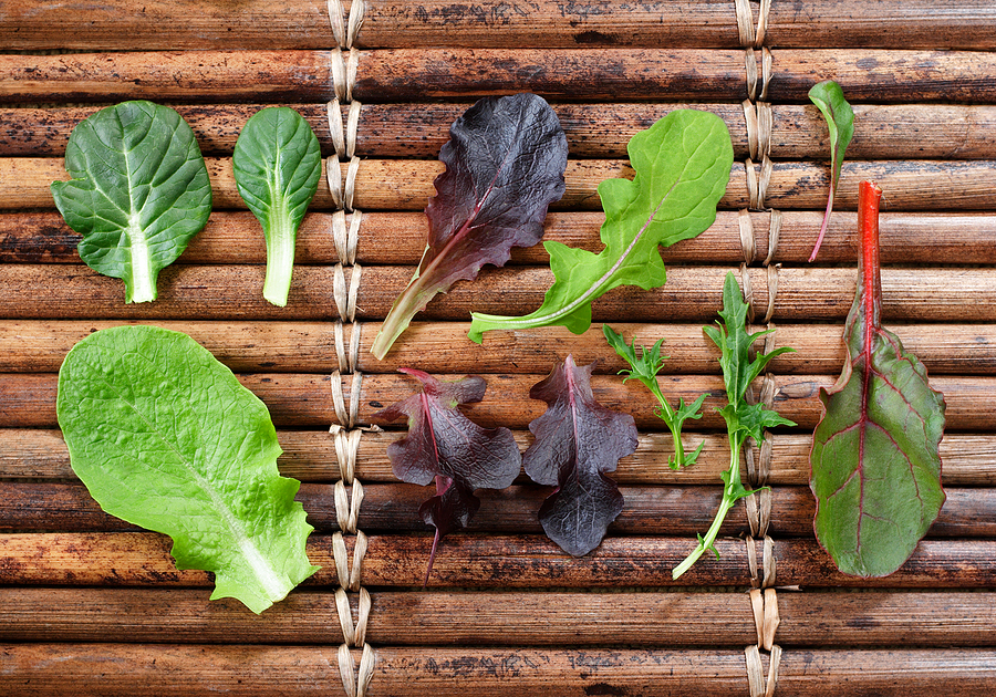 Leaf lettuces