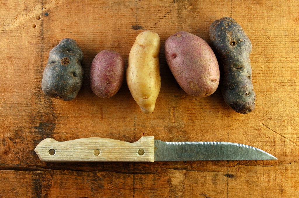 Potatoes for cutting