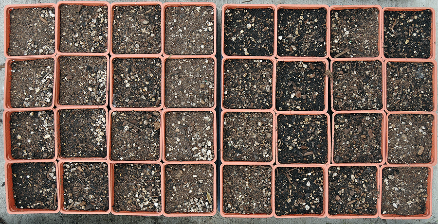 Seed starting indoors