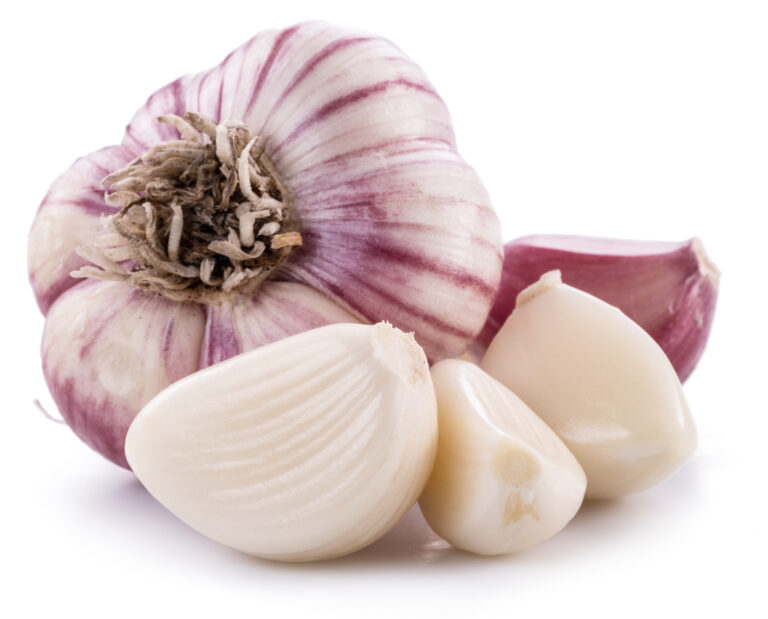 Elephant garlic