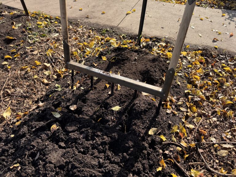 Broadfork used in no-till bed preparation