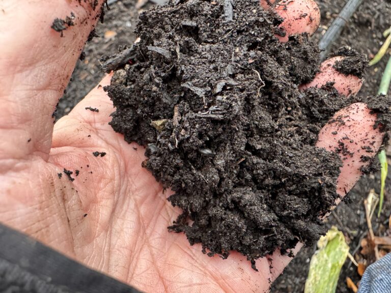 From Residue to Humus: How Organic Matter Feeds the Soil