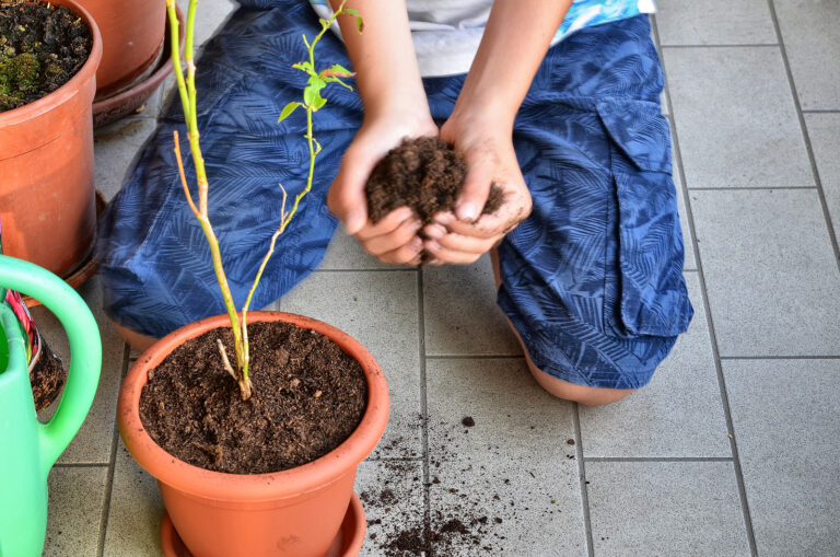 Best Potting Soil Mix for Container Vegetables (Pro Grower Recipe for Maximum Yield)