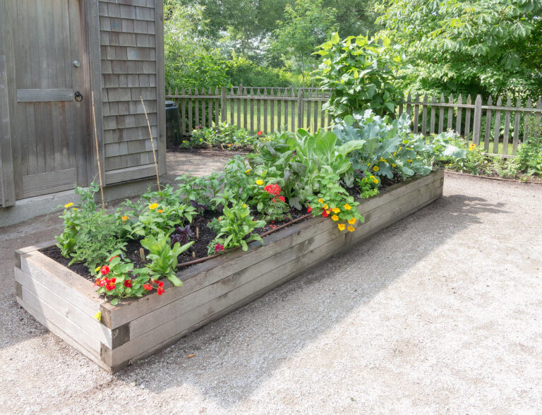 Vegetables in a box container