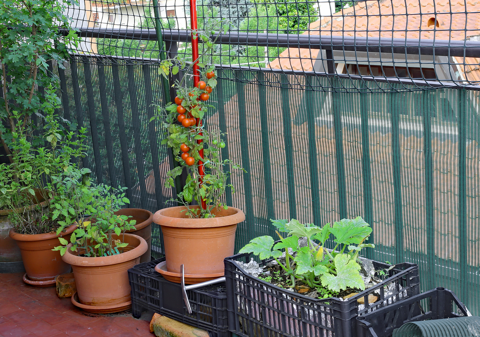 Self-watering pots on a balcony