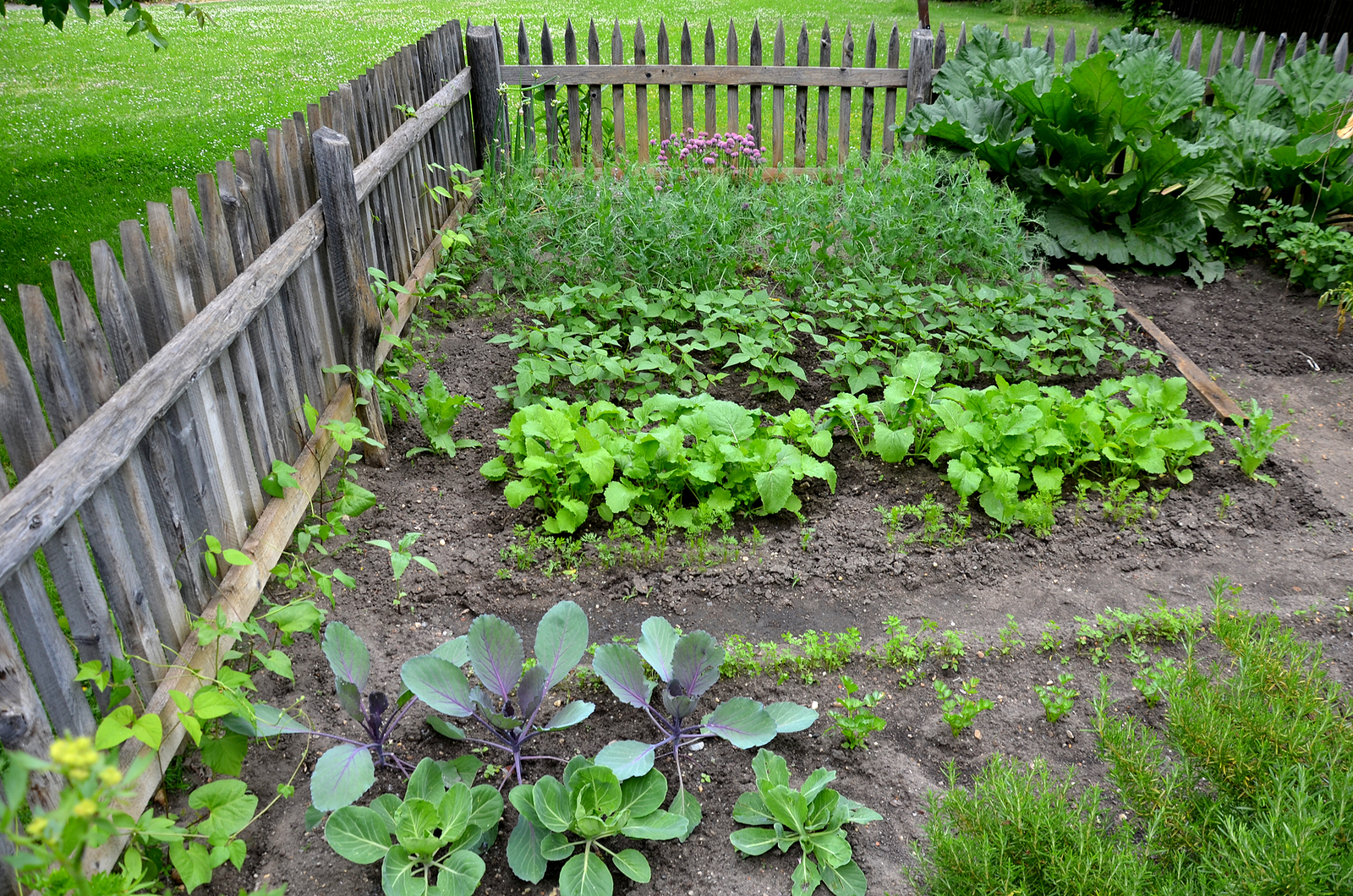 Garden beds