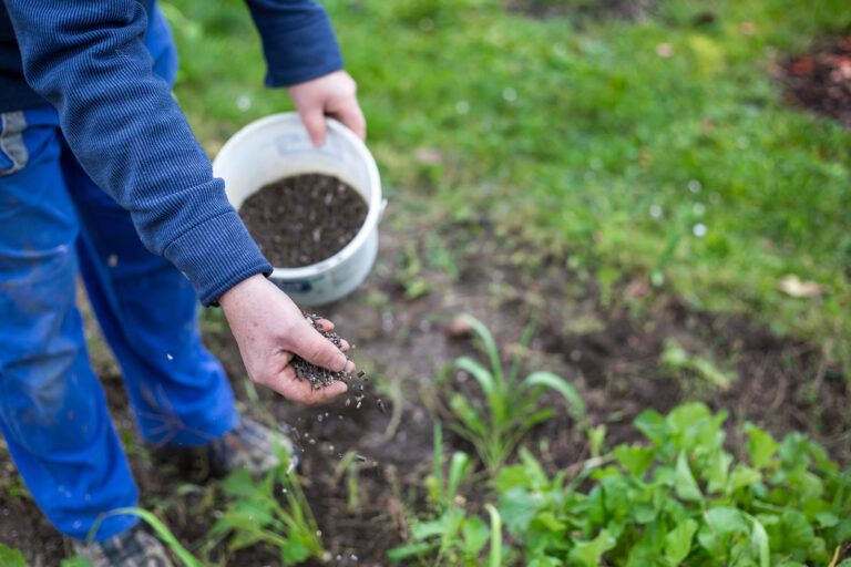 Fertilizing vegetables