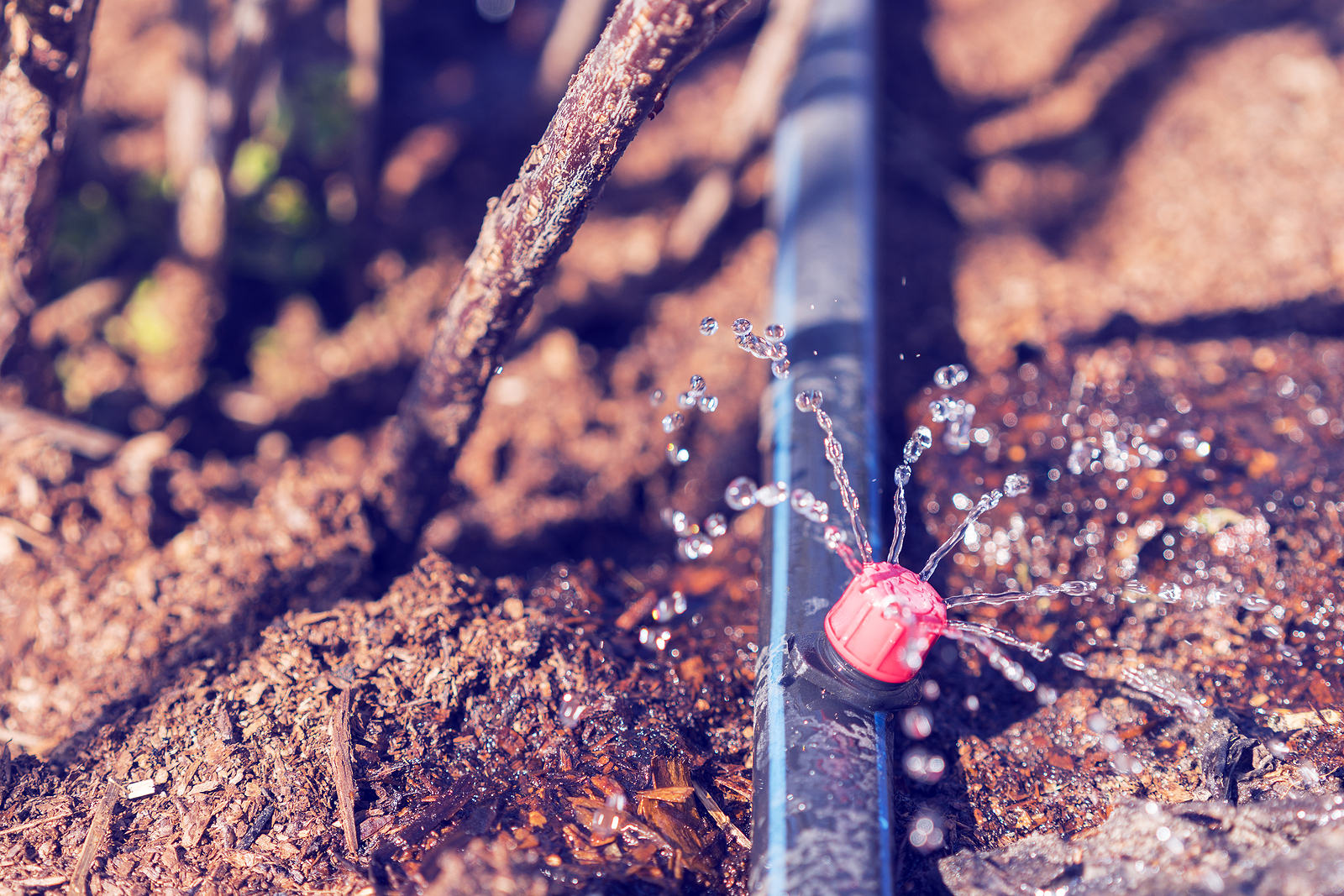 Drip irrigation