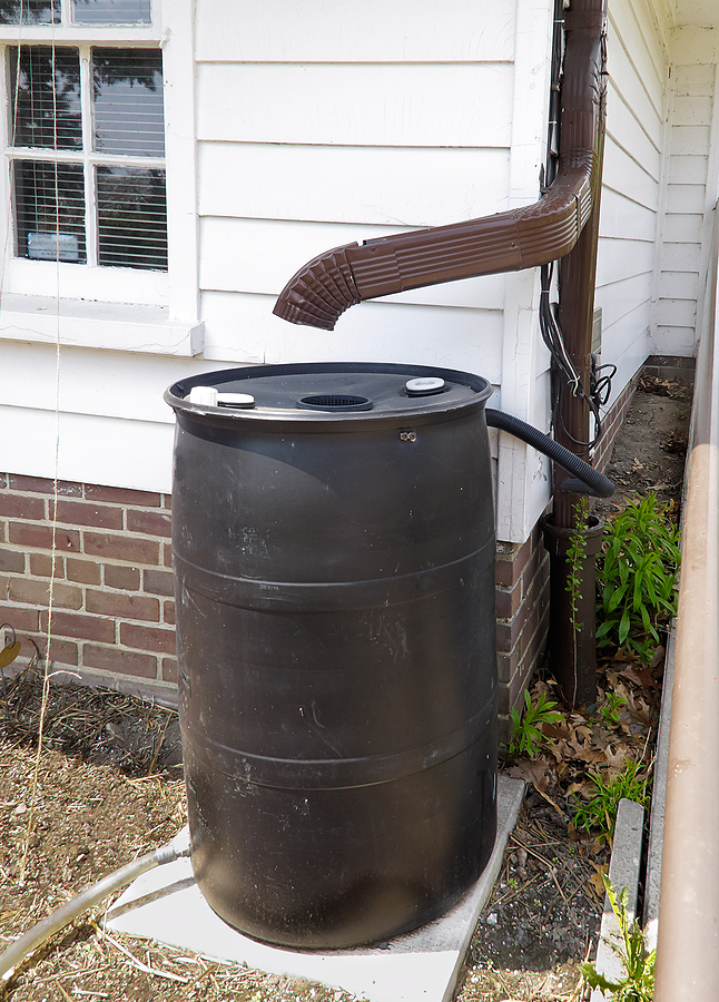 Rain barrel