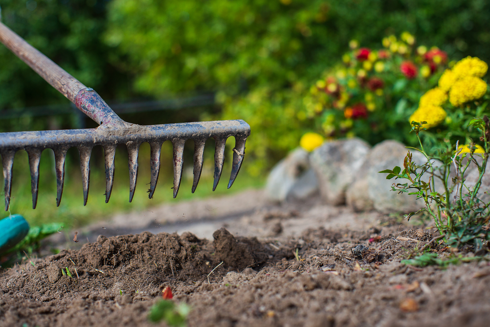 garden rake