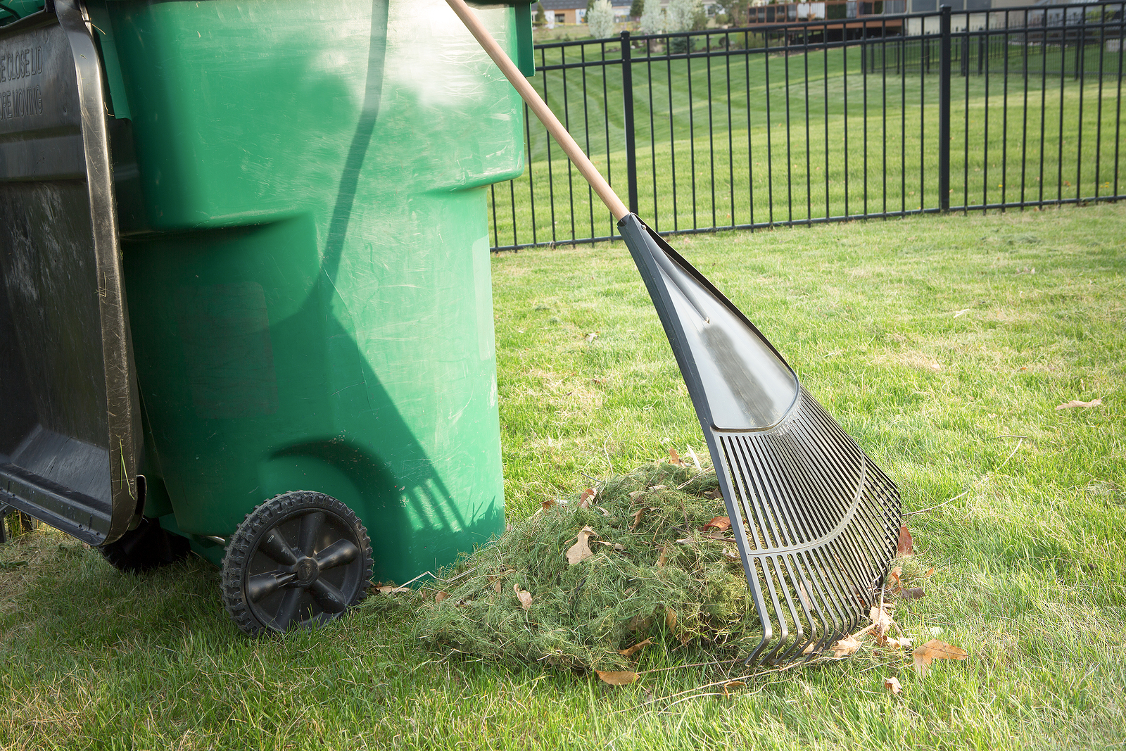 Rake