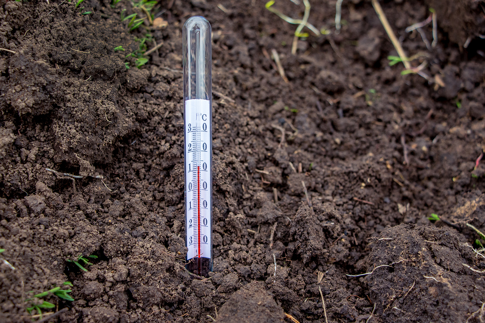 Soil thermometer
