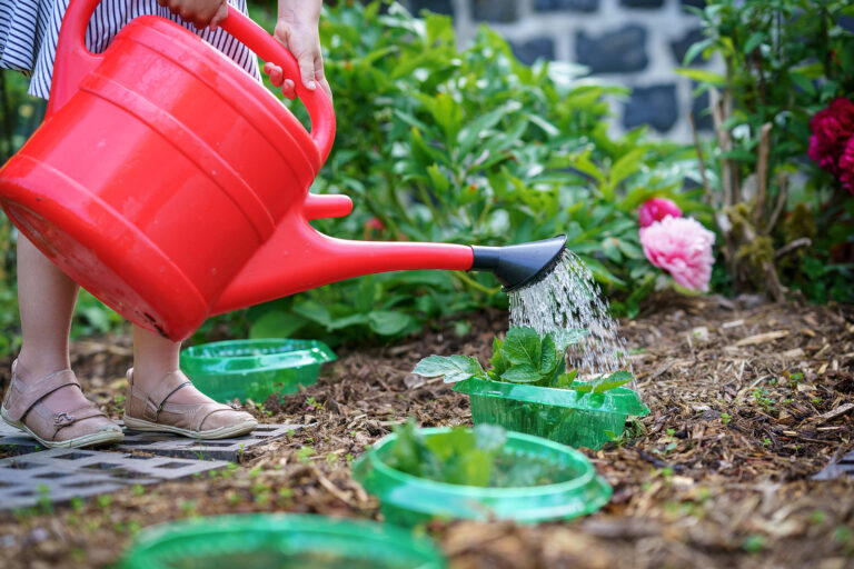 Watering Can