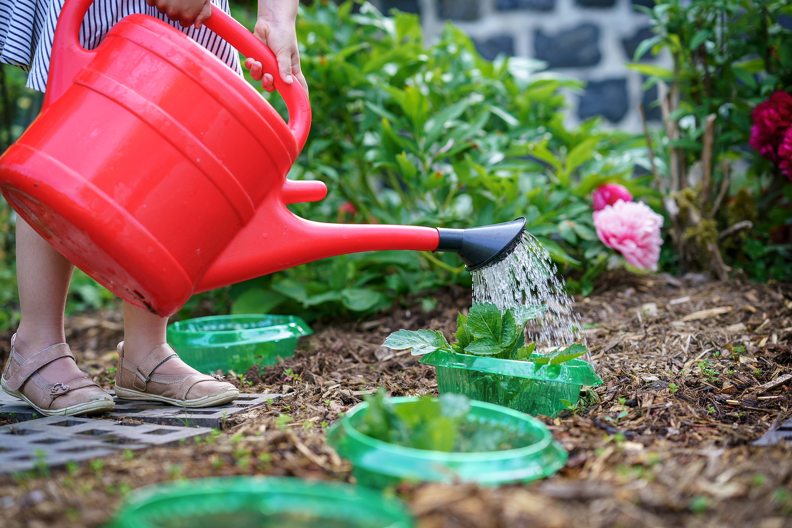 Watering Can