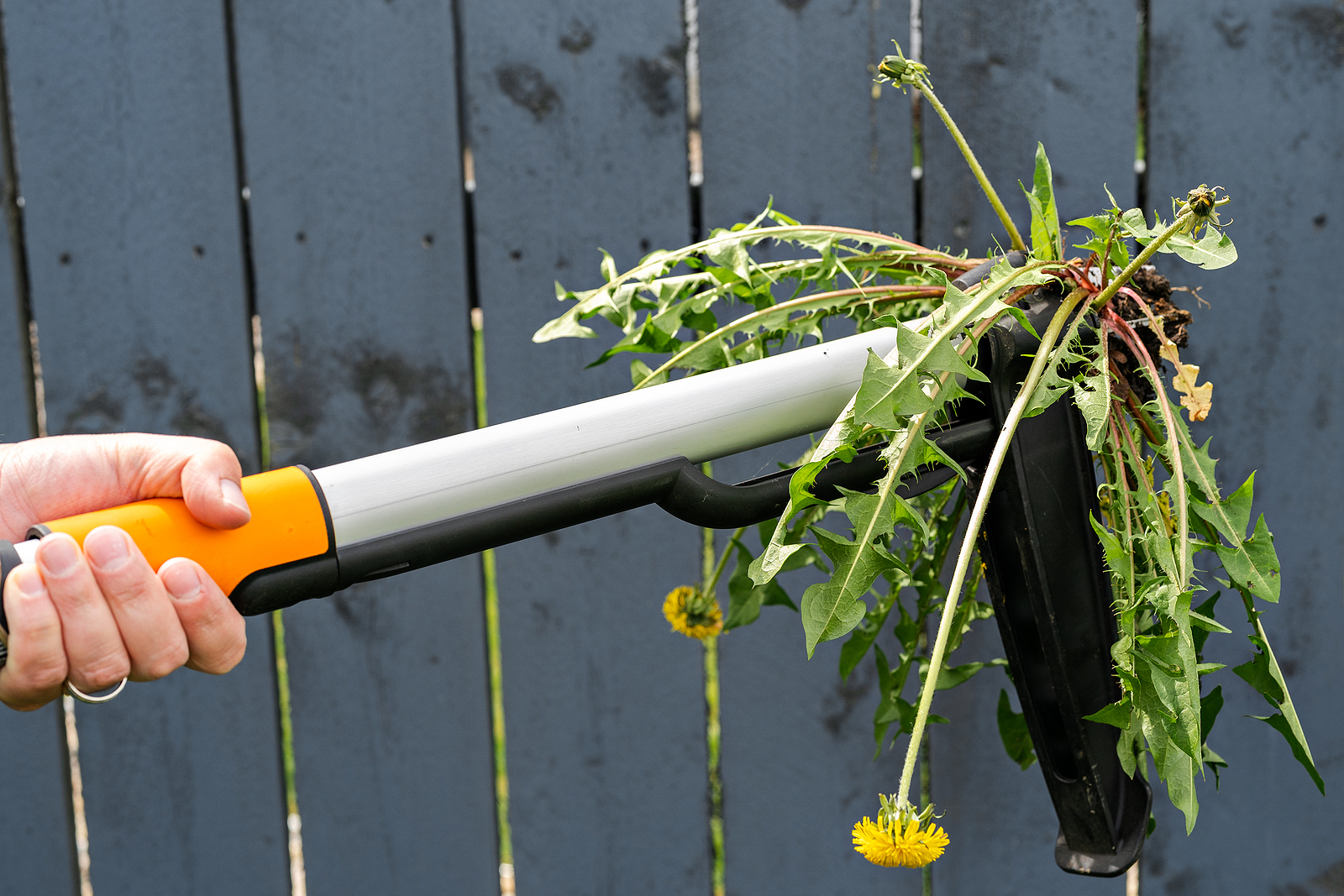Garden weeder