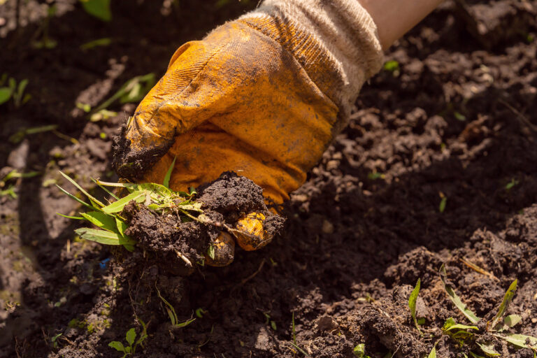 Garden soil