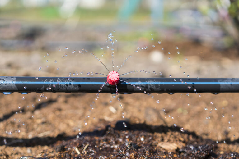 Drip irrigation