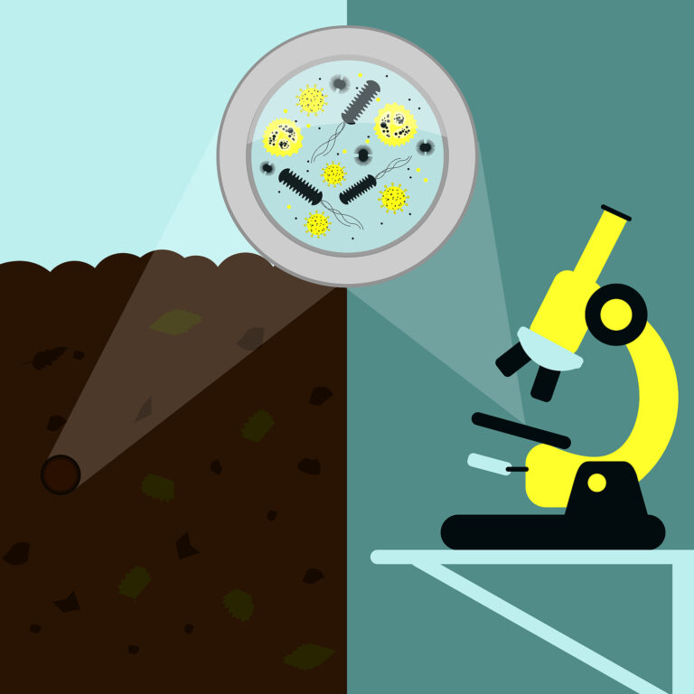 Soil microbiology