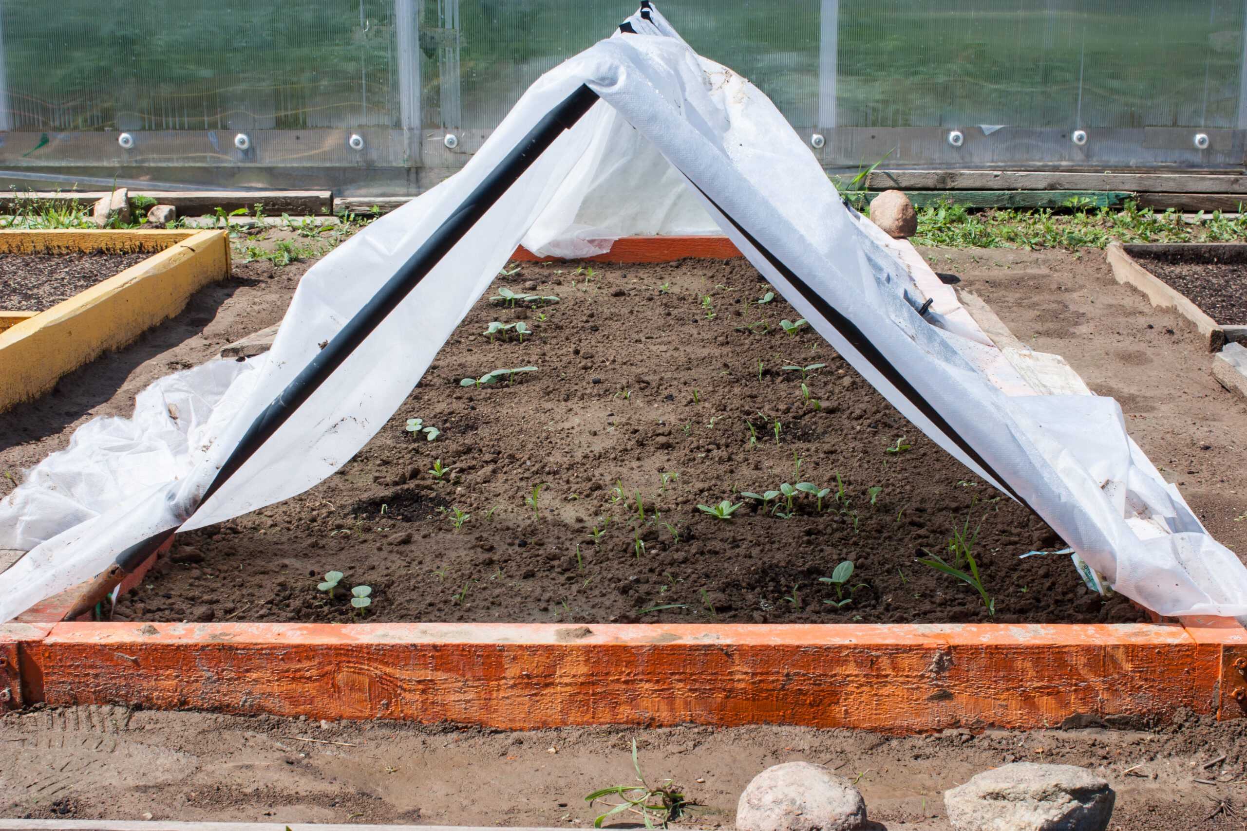 Raised bed with plastic cover